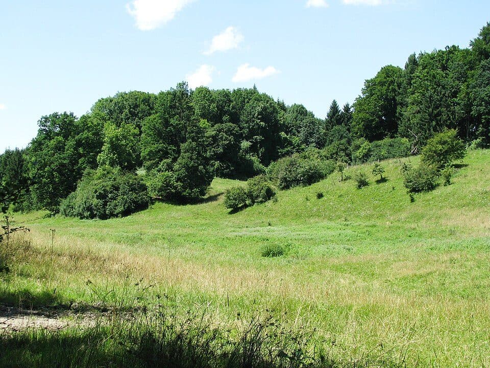 Burgstall Willenberg — zdjęcie 3