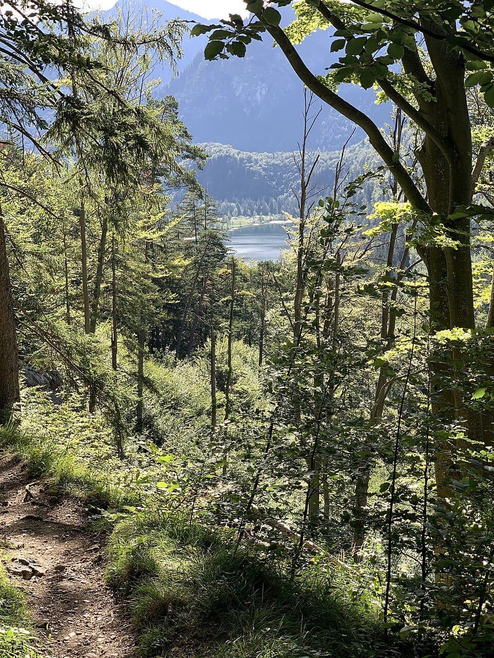 Schwansee — zdjęcie 2