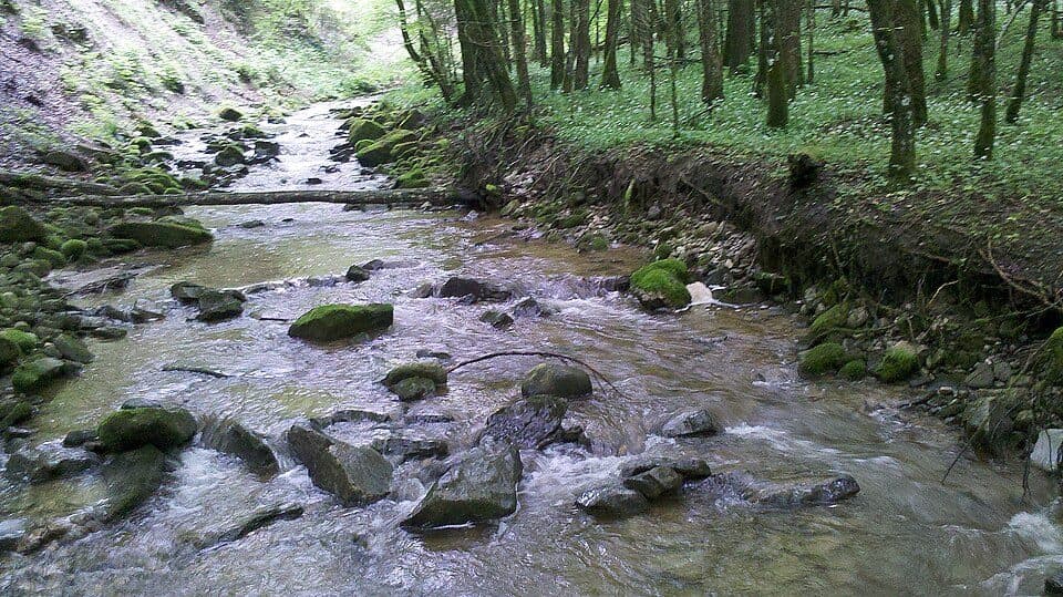 Ammertal im Bereich der Ammerleite und Talbachhänge — photo 2