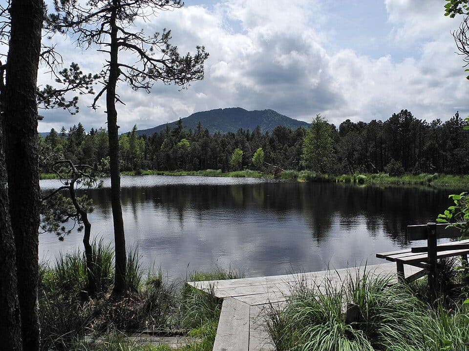 Altenauer Moor — zdjęcie 2