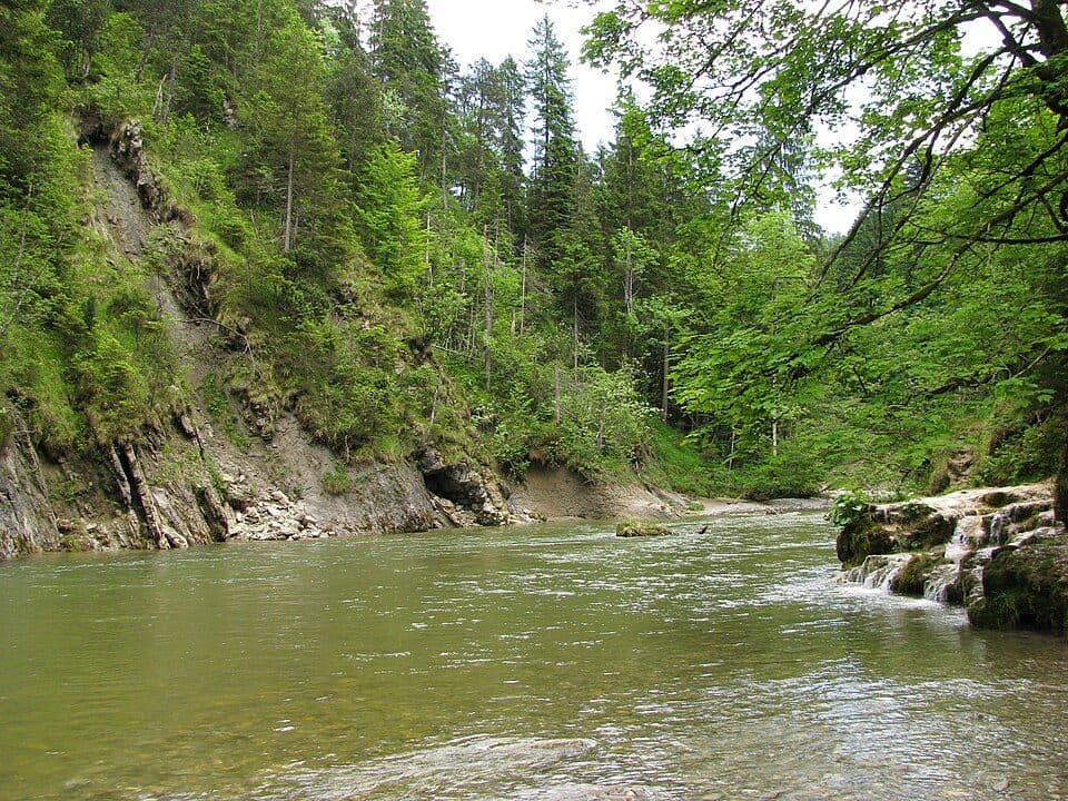 Ammerschlucht im Bereich des Scheibum — photo 2