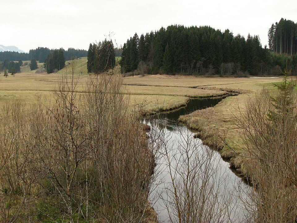 Moore um die Wies — zdjęcie 2