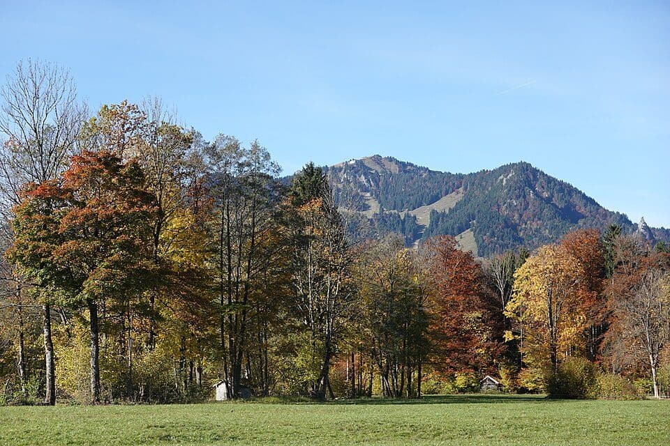 Brauneck
