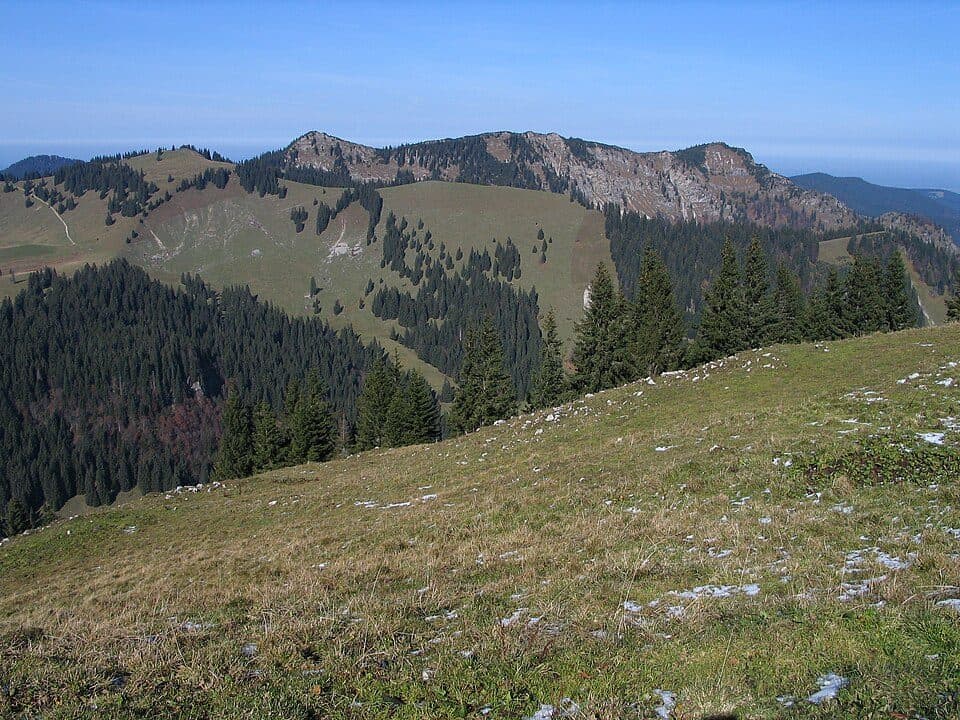 Auerkamp