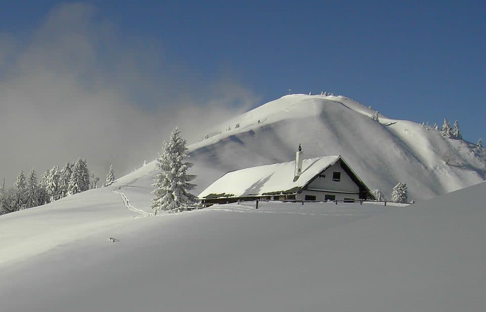 Hirschhörnlkopf — photo 2