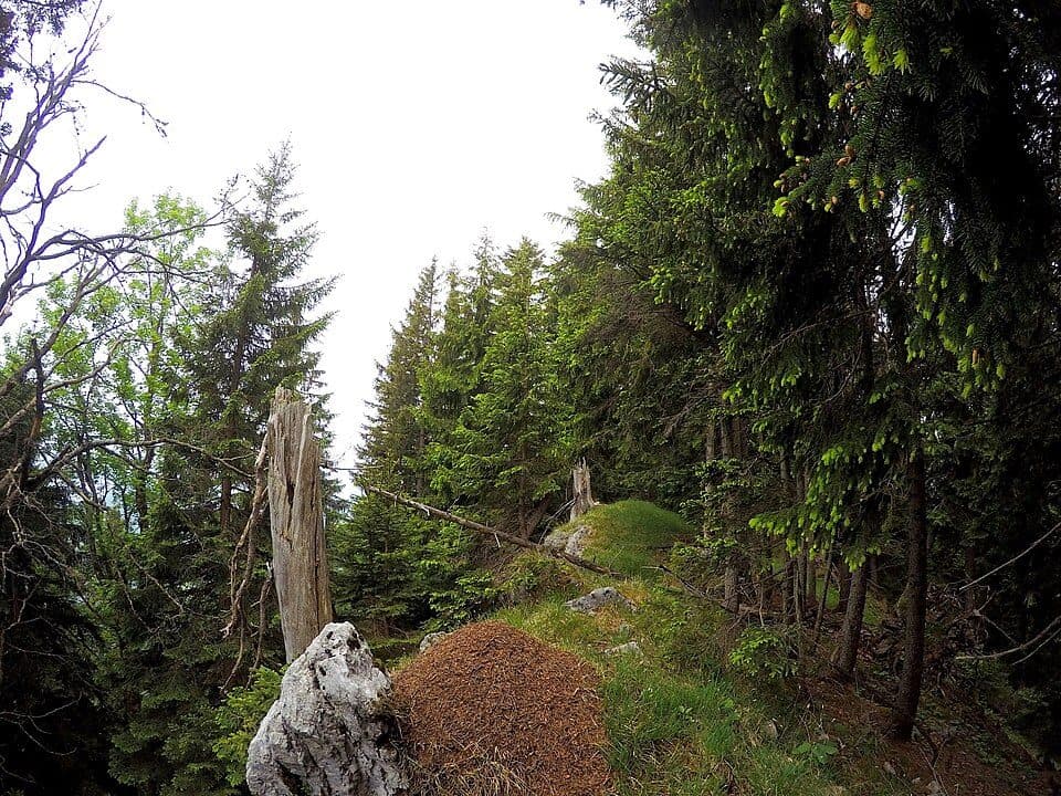Riedlerspitz — photo 2