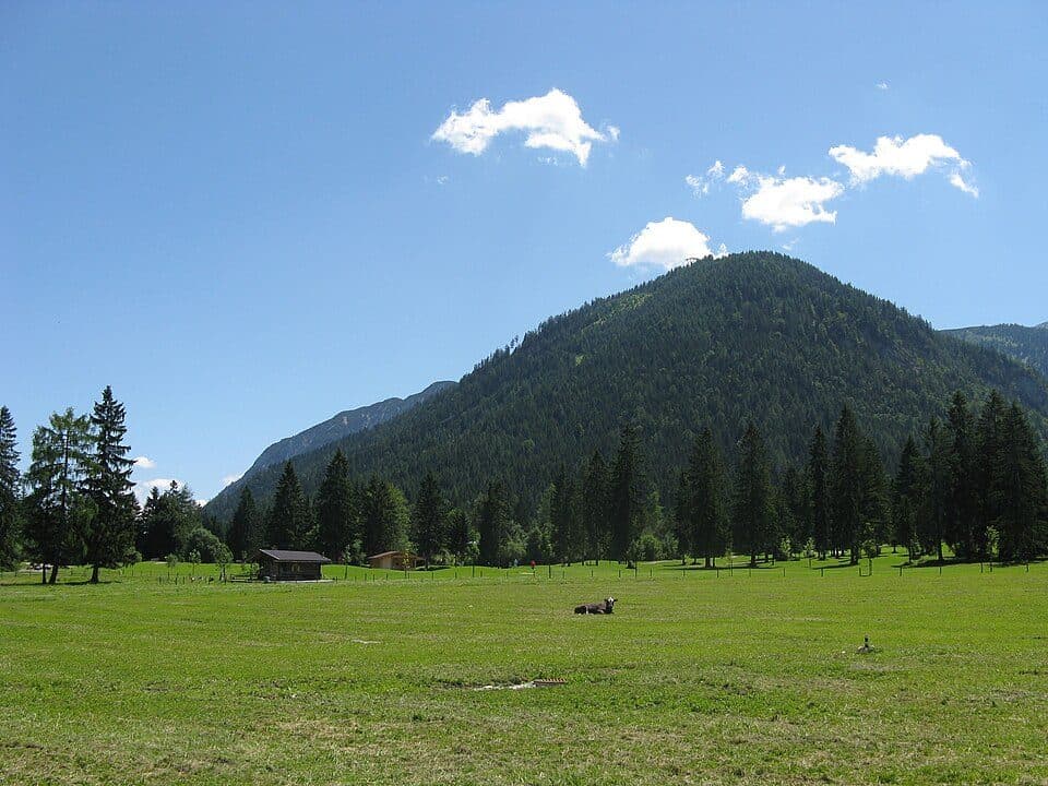 Zwölferkopf — zdjęcie 3