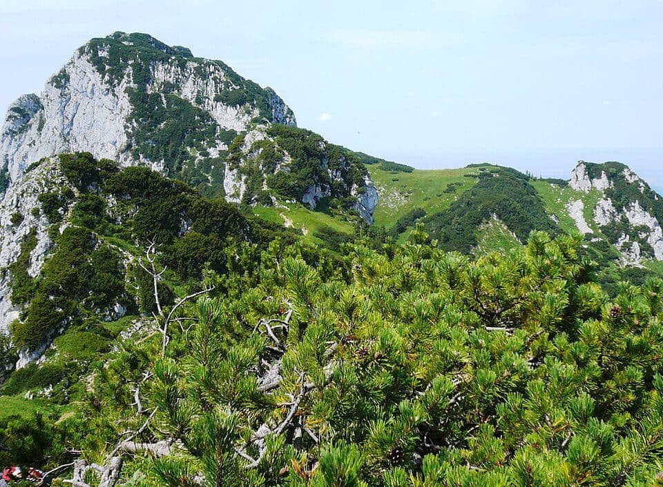 Achselköpfe — 2. fotó