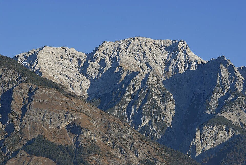 Großer Bettelwurf — Foto 2
