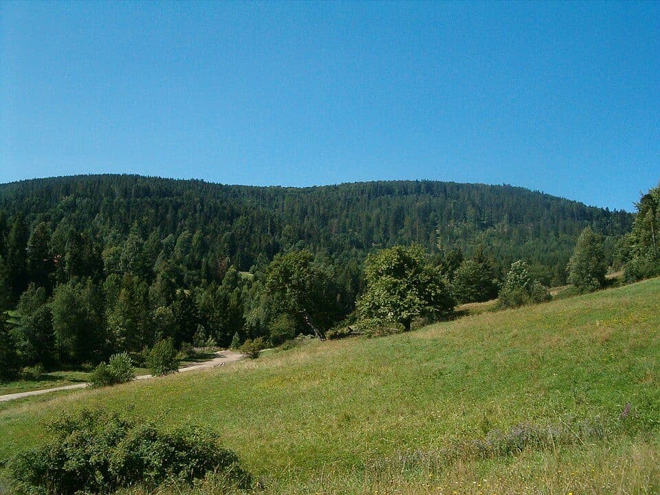 Korbielów - Hala Miziowa - Witasówka
