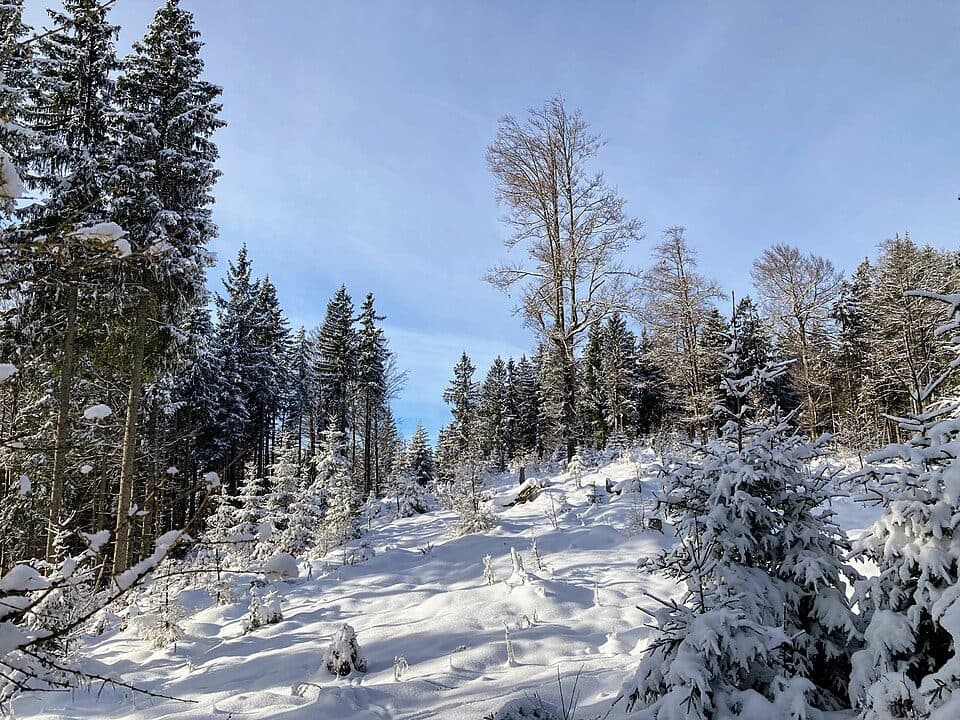 Altlachberg