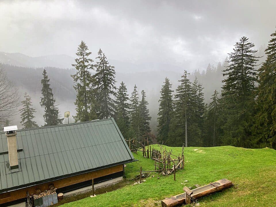 Sonnbergalm Hochleger — zdjęcie 3