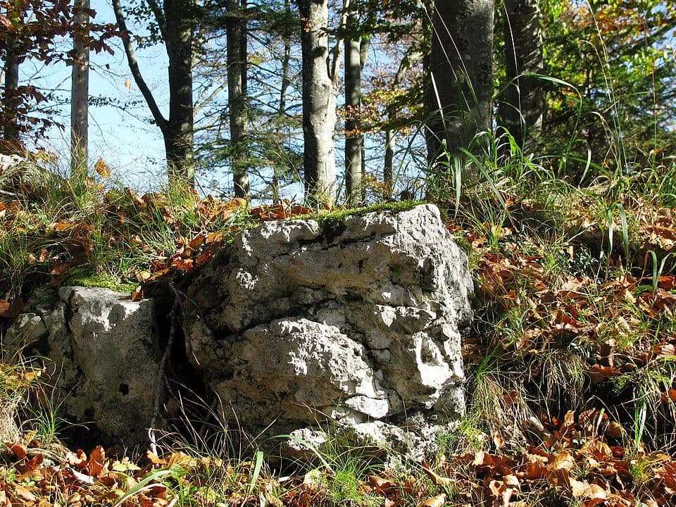 Burgruine Schellenburg — zdjęcie 3
