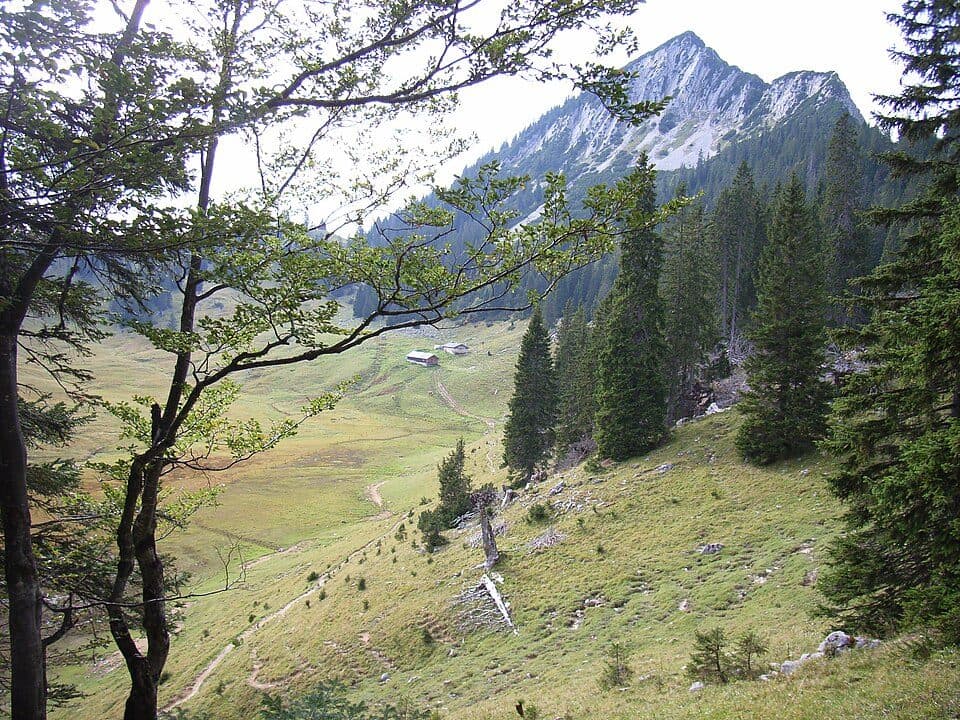 Bayerische Wildalm