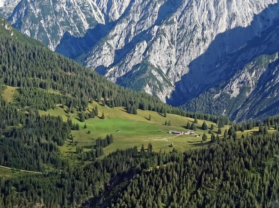 Walder Alm