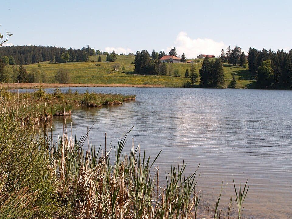 Alpe Kögelhof — zdjęcie 2
