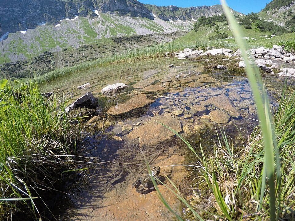 Delpssee — Foto 3