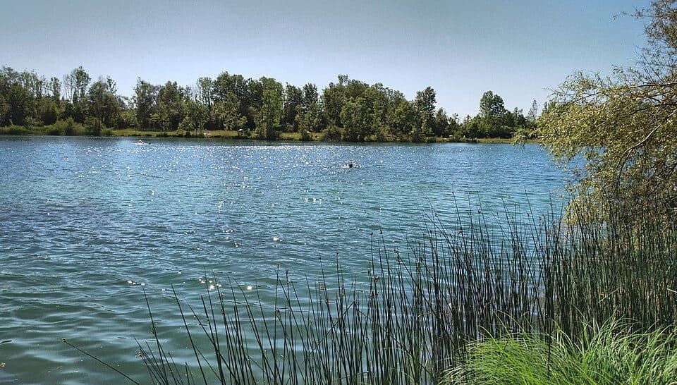 Großer Burkwanger Baggersee — zdjęcie 2