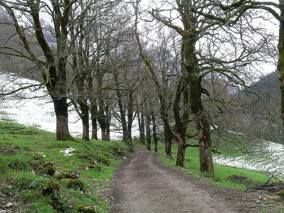 Dietersbachtal — zdjęcie 1