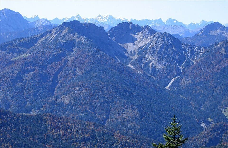 Österreichischer Schinder — fotografie 3