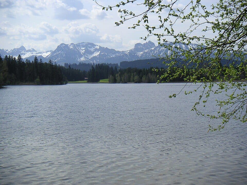 Schwaltenweiher
