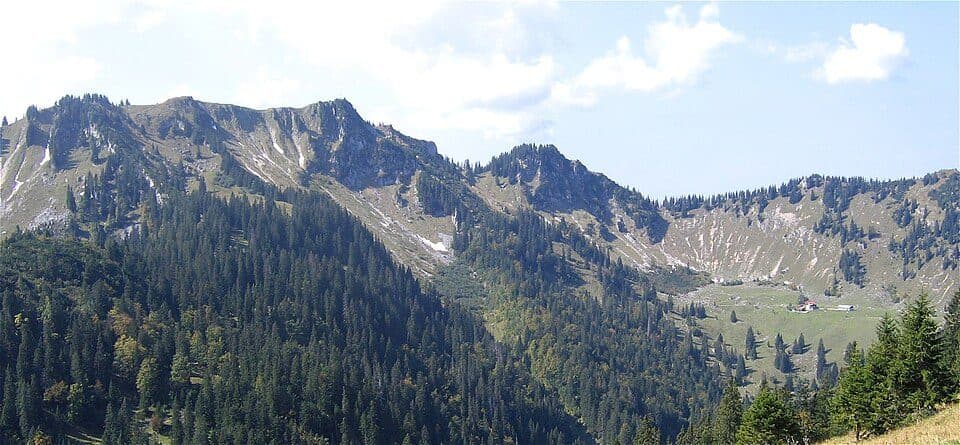 Bodenschneid