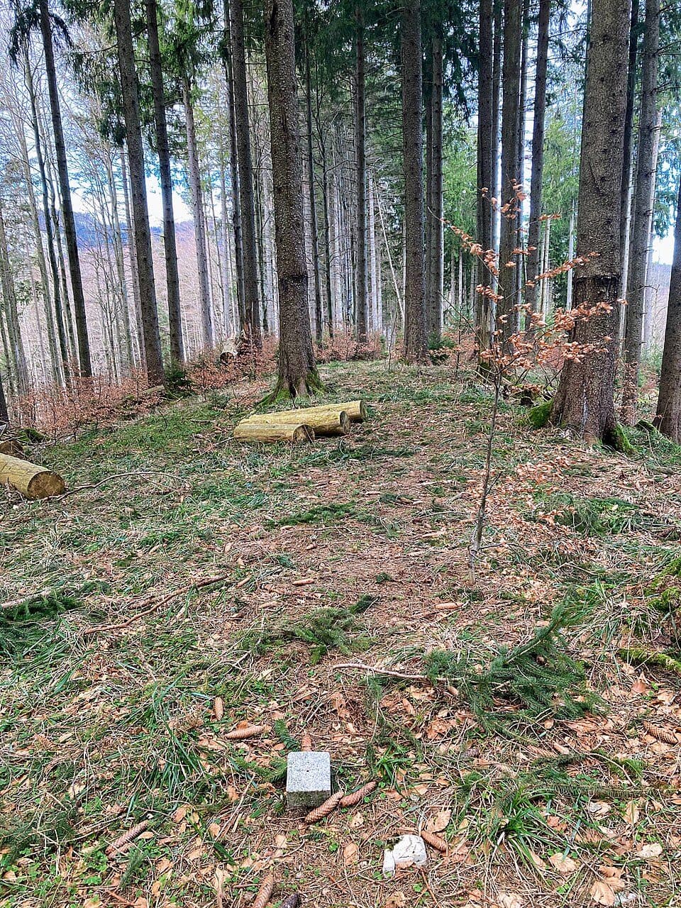Gefällberg