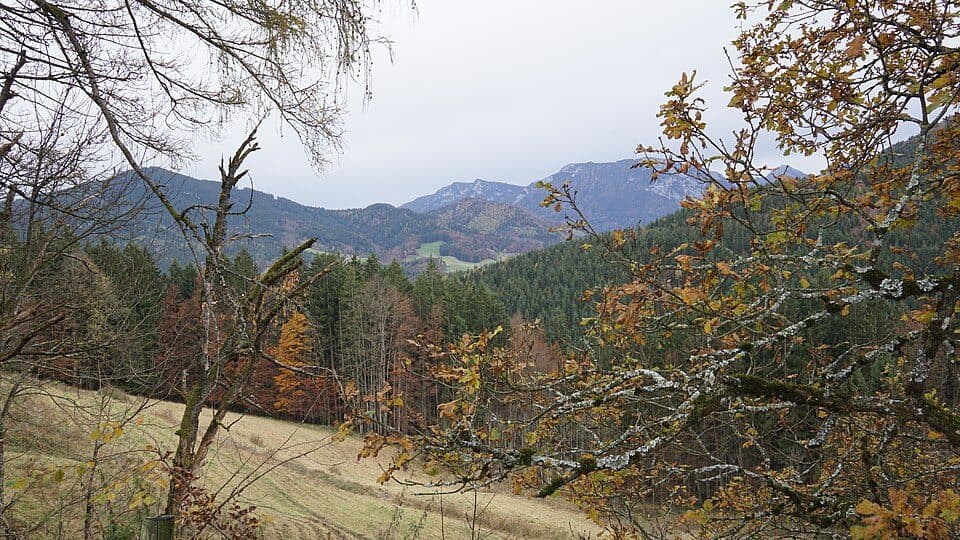 Zellerberg Hauptgipfel