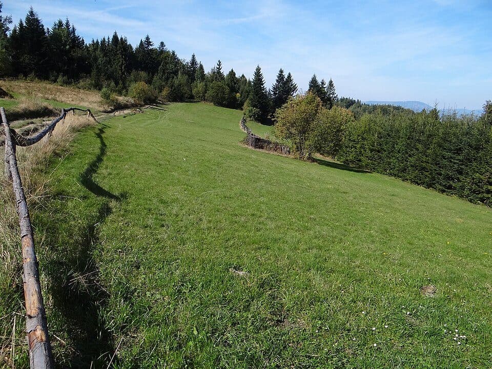 Żabnica Skałka - Słowianka