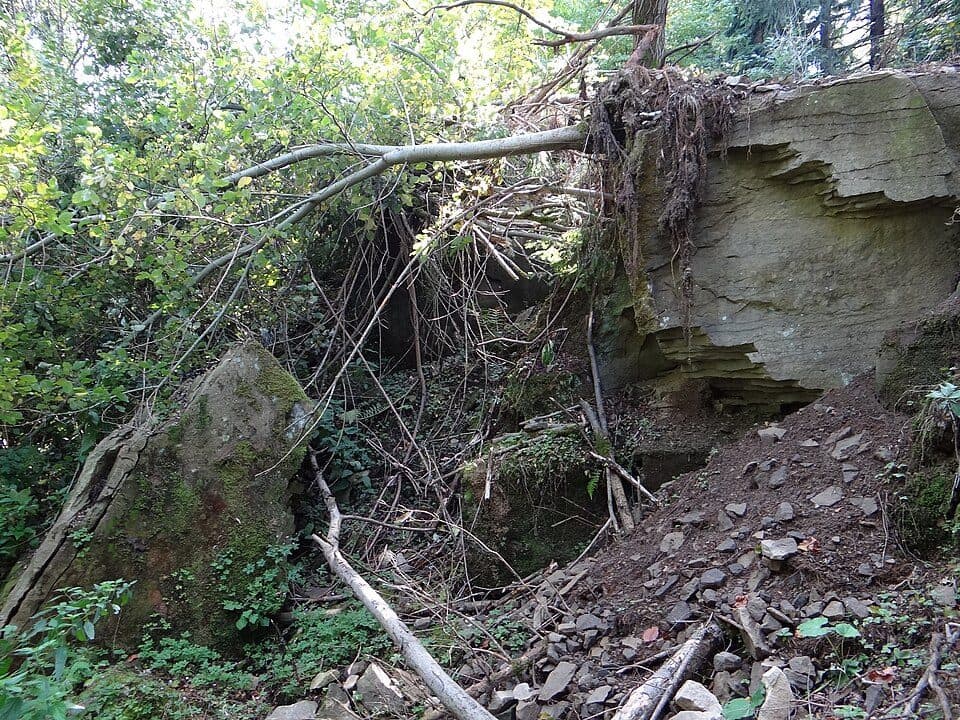 Żabnica Skałka - Słowianka