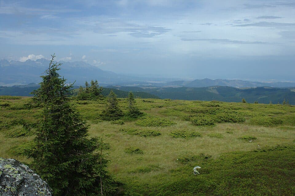 Horná Poruba, U Brdárov - Pred Čuntavou