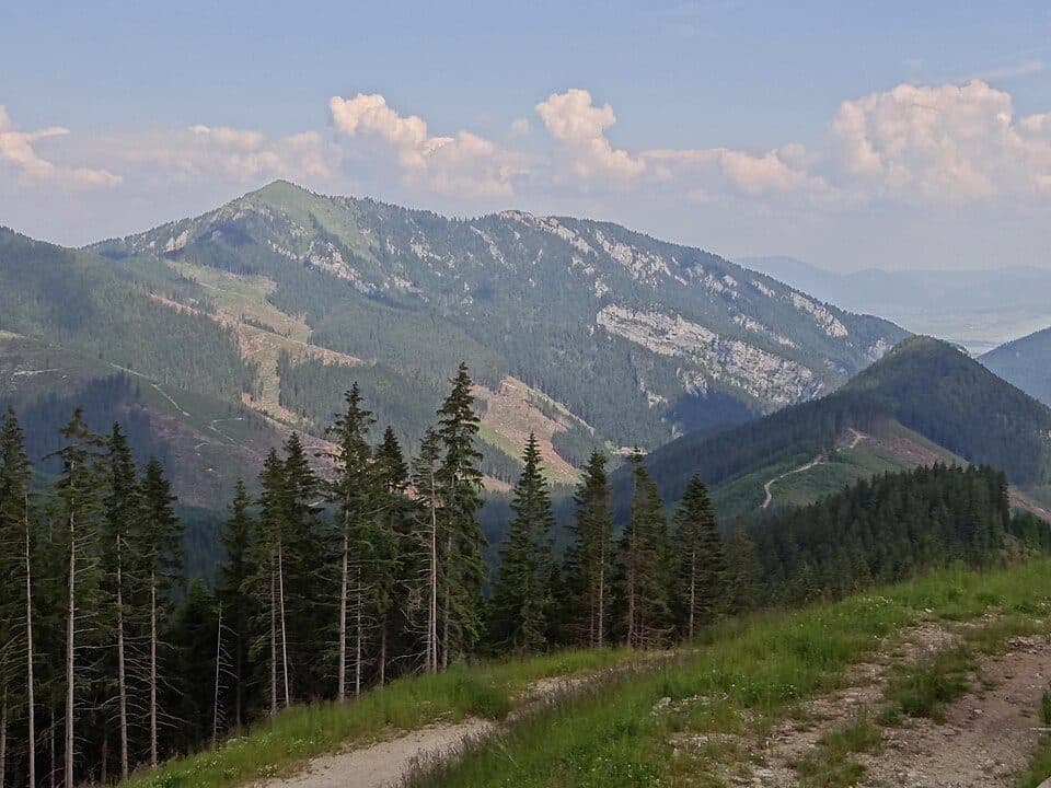 Siná (vrch v Nízkych Tatrách)