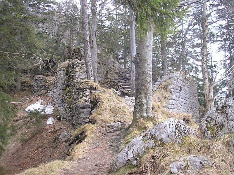 Burgruine Hohenwaldeck — fotografie 3