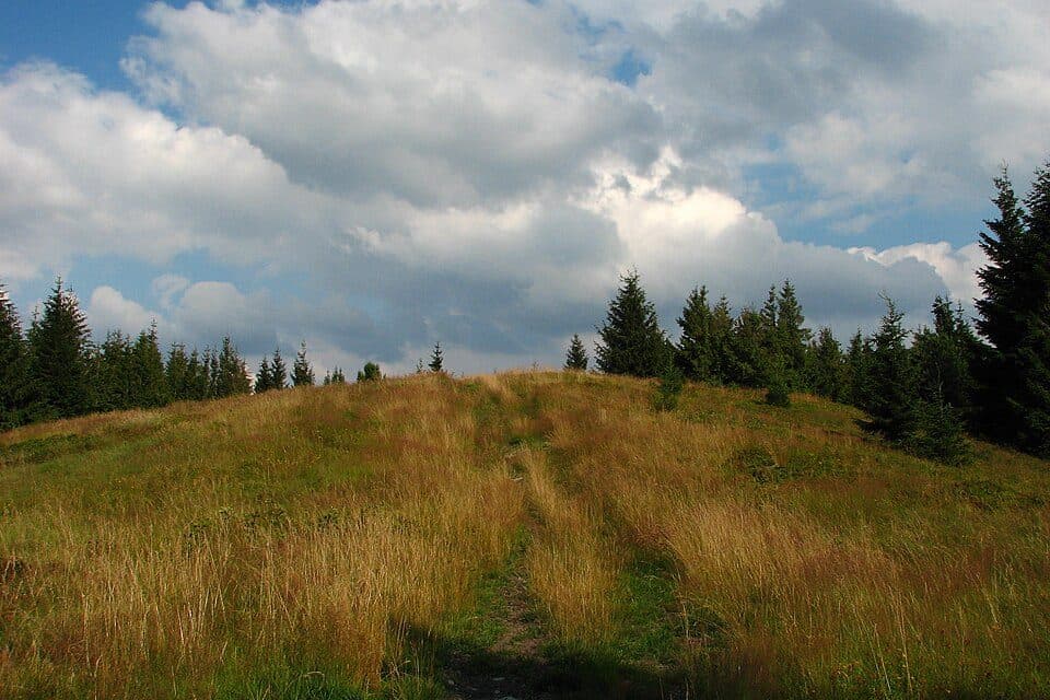 Rycerka Górna Kolonia - Rycerka Dolna