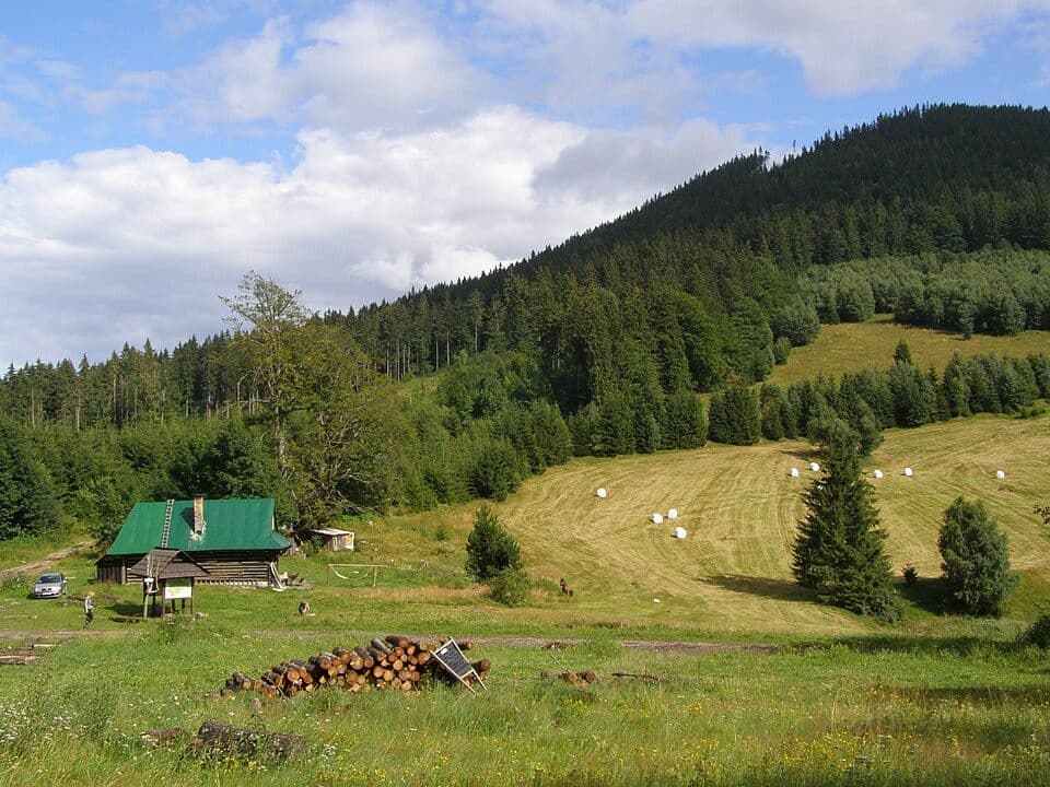 Zbojská-Fabova Hoľa-Sedlo Nižná Kľaková