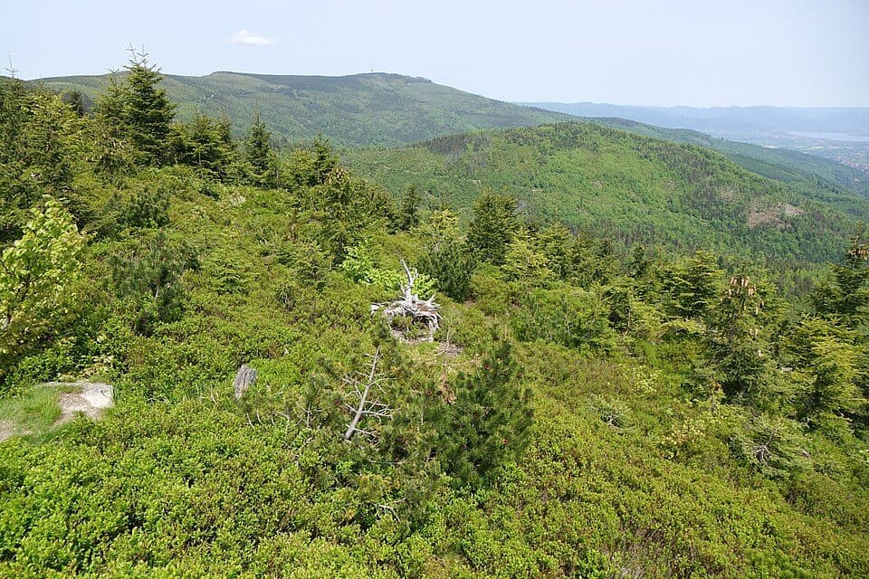 Kościelec (Beskid Śląski) — zdjęcie 2