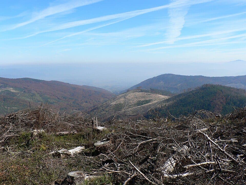 Malinowska Skała - Ostre