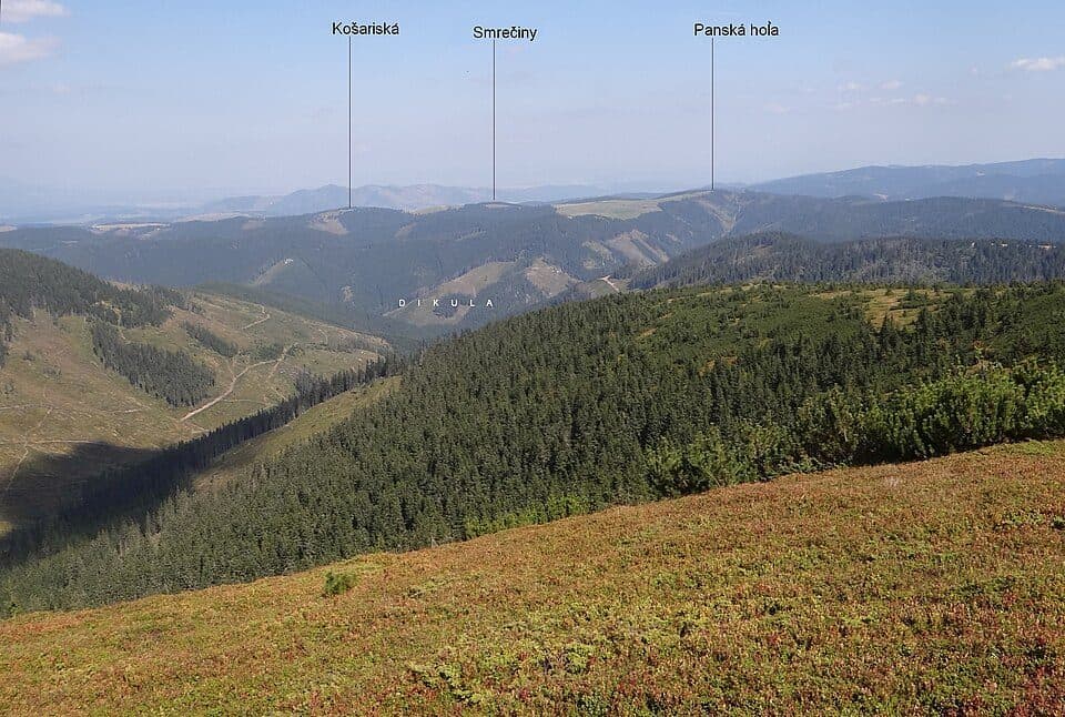 Smrečiny