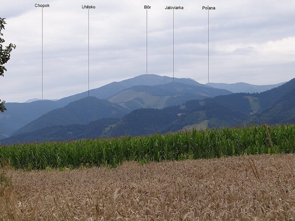 Bôr