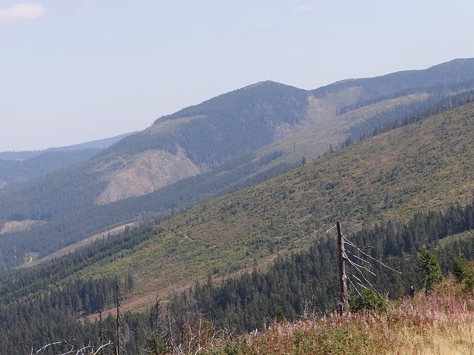 Holica (1617 m)