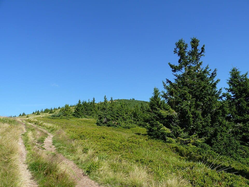Lajštroch