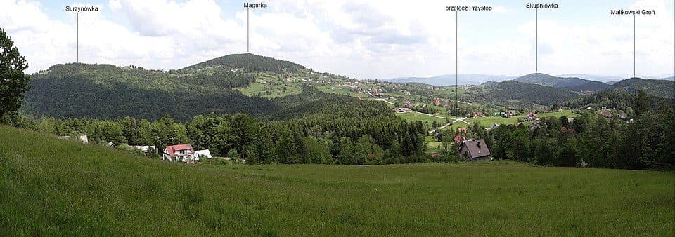 Surzynówka