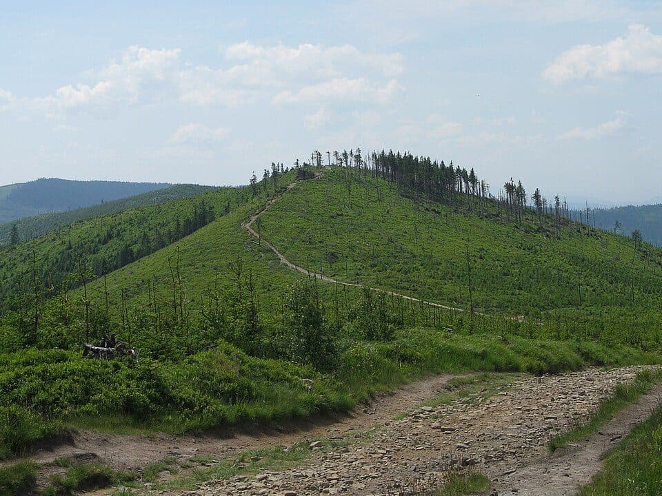 Mikuszowice Krakowskie - Malinowska Skała