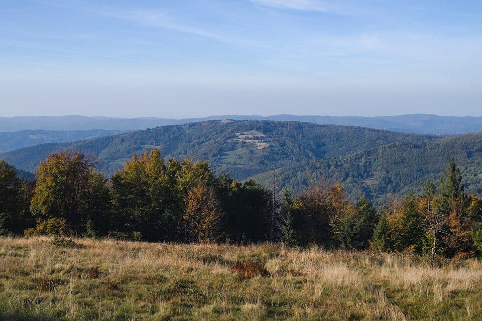 Lachów Groń