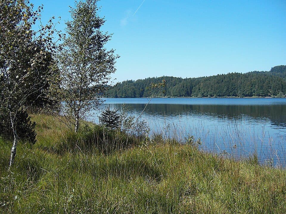 Ellbach- und Kirchseemoor — fotografie 2