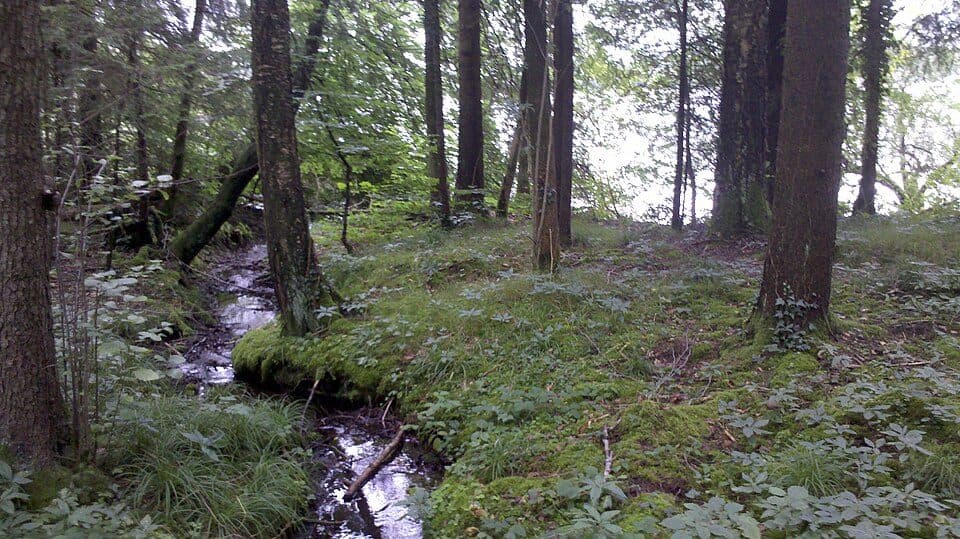 Seehamer See — photo 3