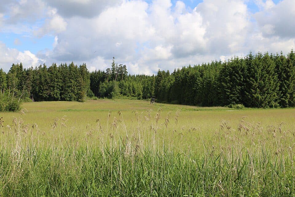 Kalten — photo 2