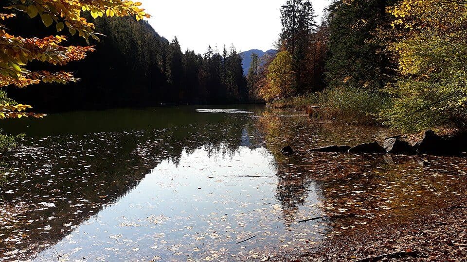 Taubensee (Ruhpolding) — Foto 2