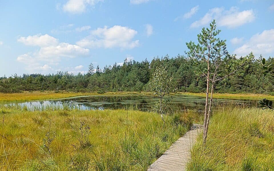 Grundloser See