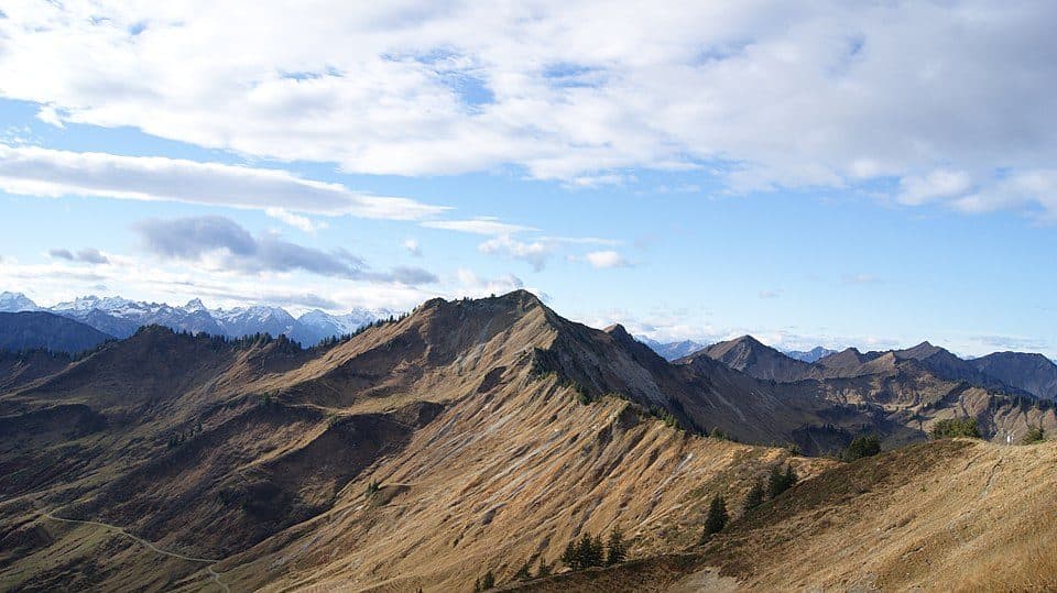 Löffelspitze